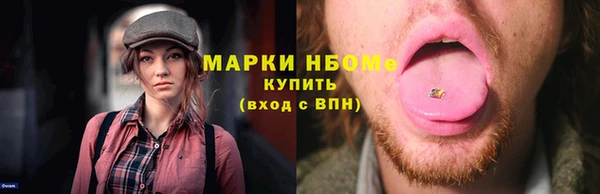хмурый Инсар