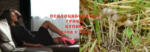 а пвп мука Алексин